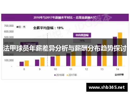 法甲球员年薪差异分析与薪酬分布趋势探讨